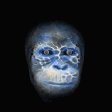 Boto animation E
